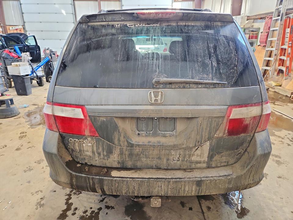 46507416 :رقم المزاد ، 5FNRL38217B506499 vin ، 2007 Honda Odyssey مزاد بيع