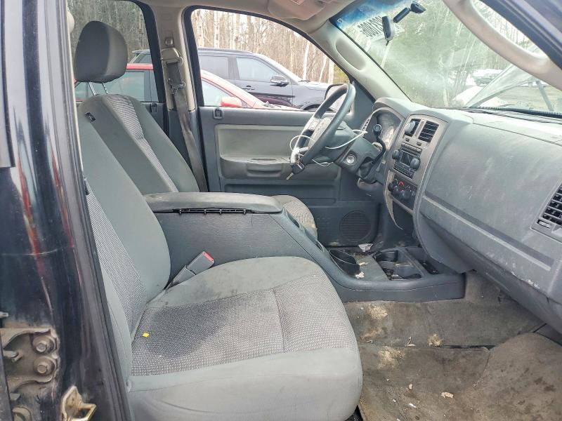 2007 Dodge Dakota მანქანა იყიდება აუქციონზე, vin: 1D7HE48K87S108484, აუქციონის ნომერი: 48231806
