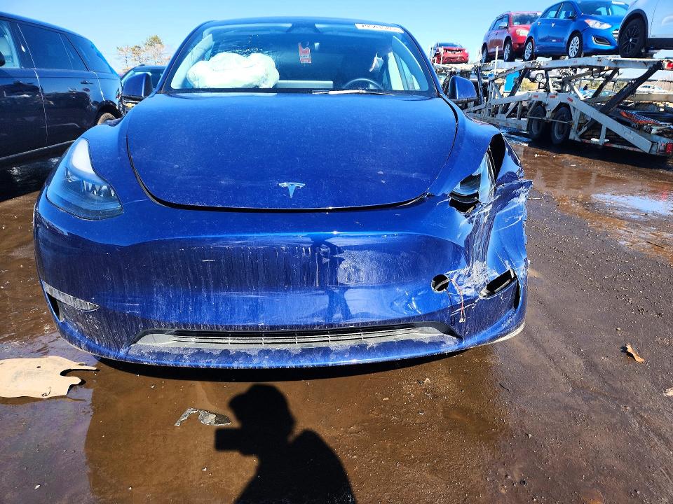 Aukcja sprzedaży 2023 Tesla Model Y, vin: 7SAYGDEE6PF862762, numer aukcji: 79541585