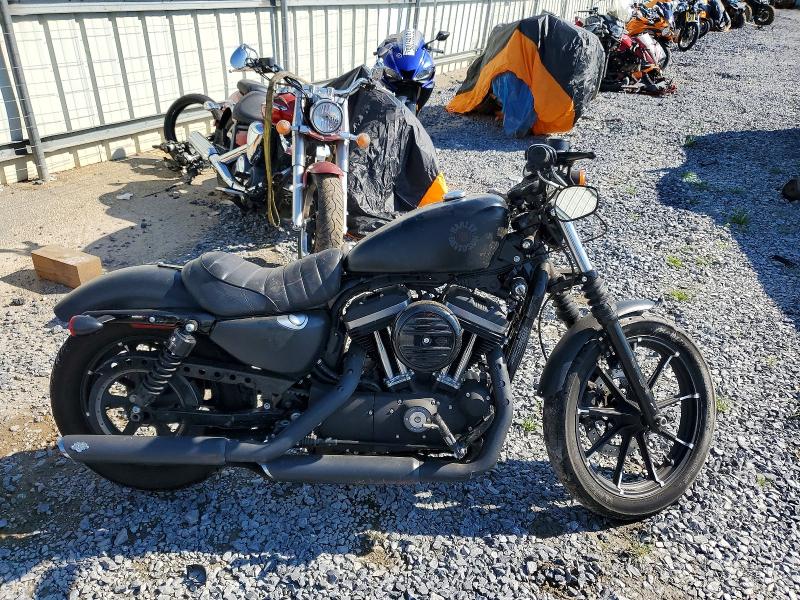2019 Harley-davidson Xl883 მანქანა იყიდება აუქციონზე, vin: 1HD4LE211KB426331, აუქციონის ნომერი: 79364925