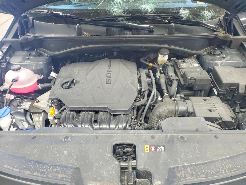 46660026 :رقم المزاد ، 5XYK23DF6TG355563 vin ، 2026 Kia Sportage مزاد بيع