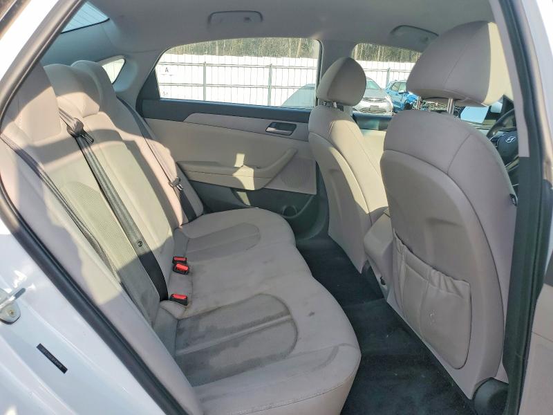 Продаж на аукціоні авто 2019 Hyundai Sonata, vin: 5NPE24AF3KH814918, номер лоту: 45623766