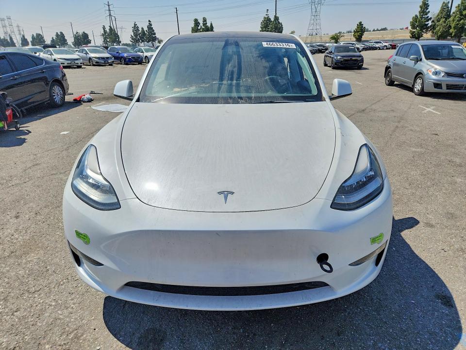 2023 Tesla Model Y მანქანა იყიდება აუქციონზე, vin: 7SAYGDEE3PA095031, აუქციონის ნომერი: 46633316