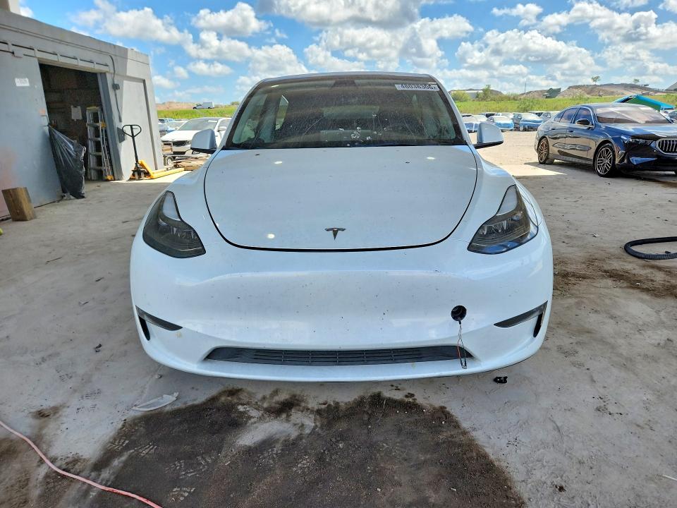 Продаж на аукціоні авто 2023 Tesla Model Y, vin: 7SAYGDEF0PF773097, номер лоту: 48038306