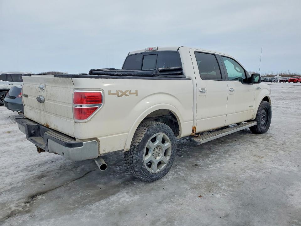 41700566 :رقم المزاد ، 1FTFW1ET1EFA33045 vin ، 2014 Ford F150 مزاد بيع