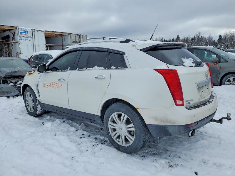 Продаж на аукціоні авто 2010 Cadillac Srx, vin: 3GYFNFE48AS577082, номер лоту: 46648956
