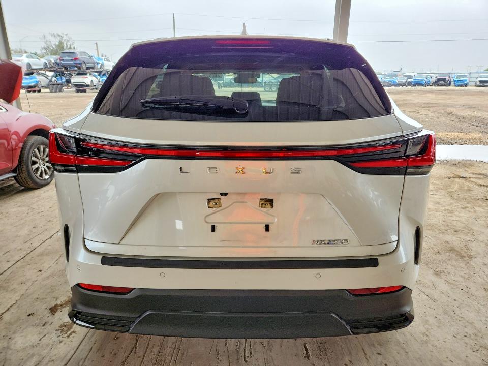 Продаж на аукціоні авто 2024 Lexus Nx 250, vin: JTJGDCAZ6R5021501, номер лоту: 46692756