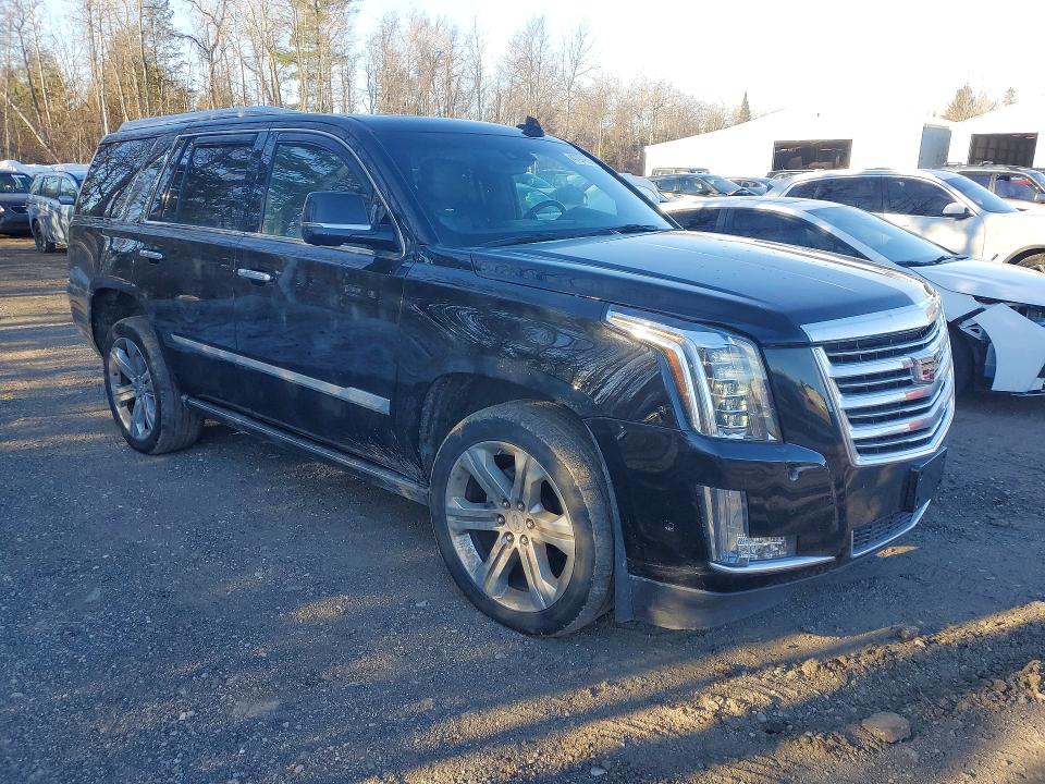 Auction sale of the 2019 Cadillac Escalade, vin: 1GYS4DKJ7KR246191, lot number: 47974366