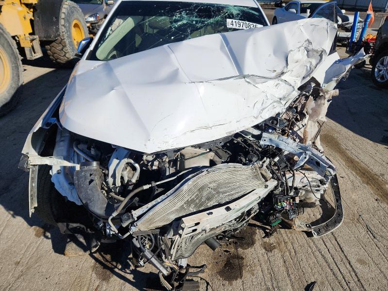41970836 :رقم المزاد ، 3GKALXEX5KL271592 vin ، 2019 Gmc Terrain مزاد بيع