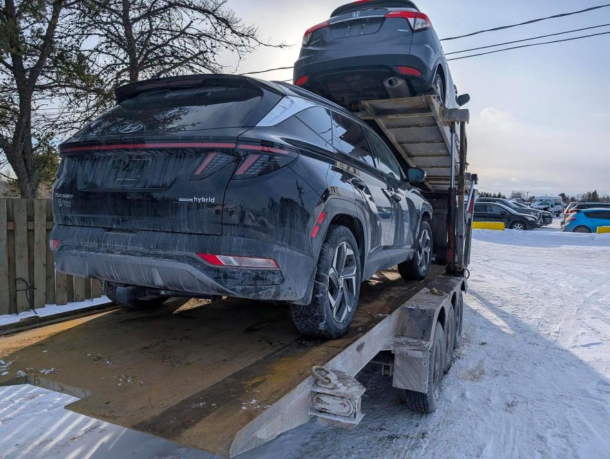 Продажа на аукционе авто 2023 Hyundai Tucson, vin: KM8JCCA12PU119090, номер лота: 77243995