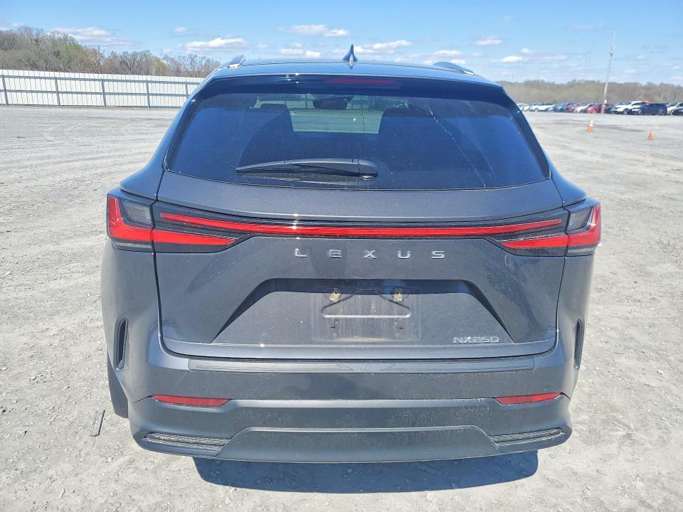 Продаж на аукціоні авто 2025 Lexus Nx 250, vin: 2T2ADCAZ0SC020356, номер лоту: 46654606