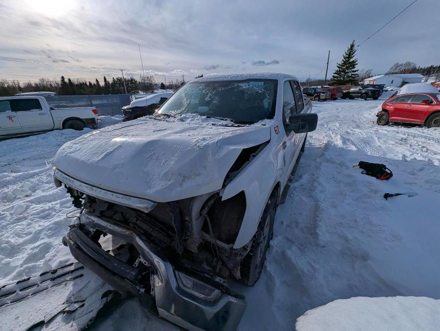 Aukcja sprzedaży 2021 Ford F150, vin: 1FTFW1E54MKE00656, numer aukcji: 78247535