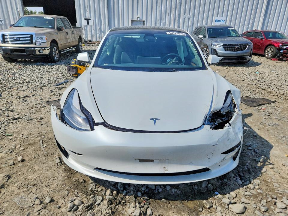 Продажа на аукционе авто 2023 Tesla Model 3, vin: 5YJ3E1EA9PF405405, номер лота: 46943076
