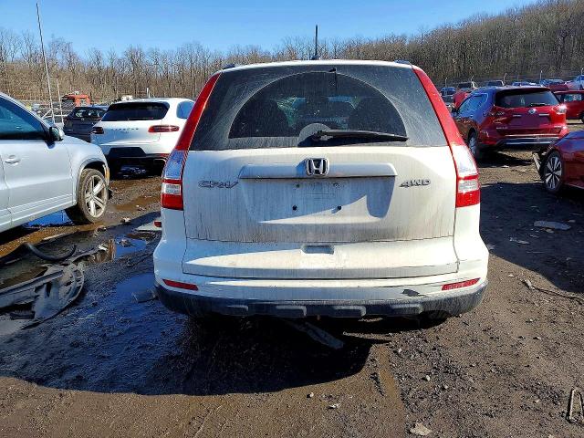 Aukcja sprzedaży 2010 Honda Cr-v, vin: 5J6RE4H70AL024097, numer aukcji: 45445906