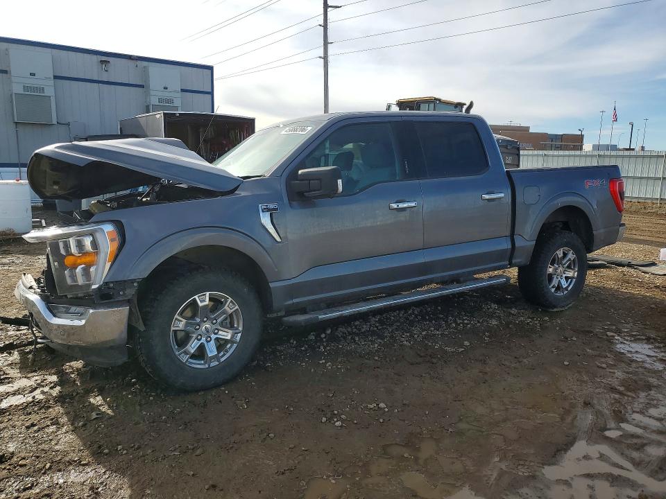 Продажа на аукционе авто 2021 Ford F150, vin: 1FTFW1E55MFA84144, номер лота: 45888206