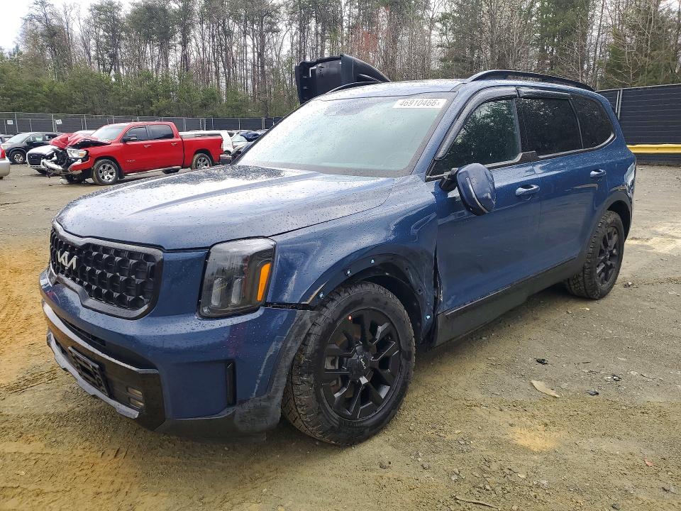 Aukcja sprzedaży 2024 Kia Telluride, vin: 5XYP5DGC4RG529370, numer aukcji: 46910466