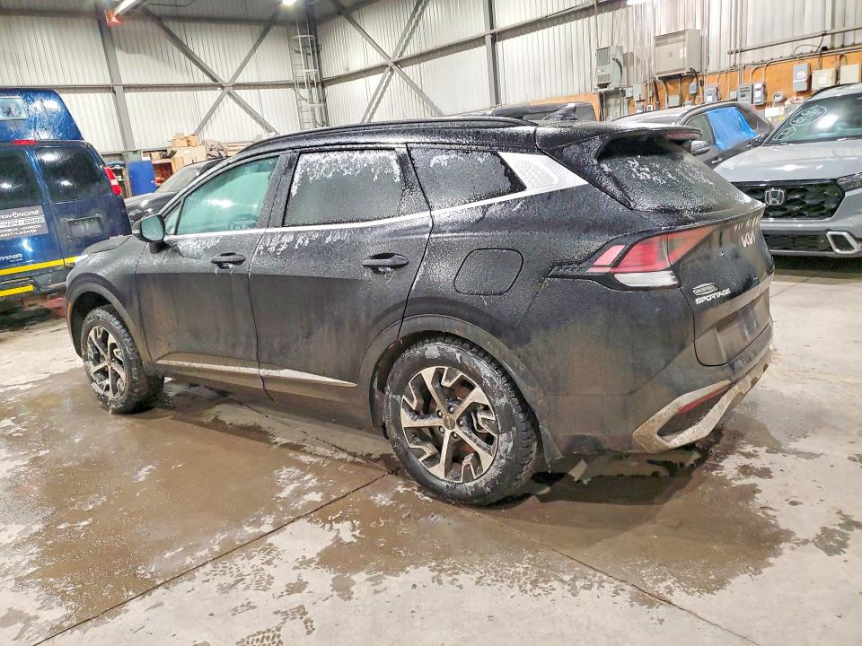 Продаж на аукціоні авто 2025 Kia Sportage, vin: KNDPVCDF5S7383685, номер лоту: 41893606