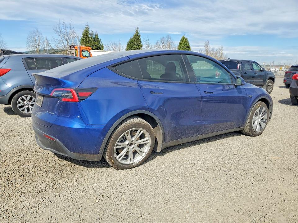 2021 Tesla Model Y მანქანა იყიდება აუქციონზე, vin: 5YJYGDEE0MF114923, აუქციონის ნომერი: 79497715