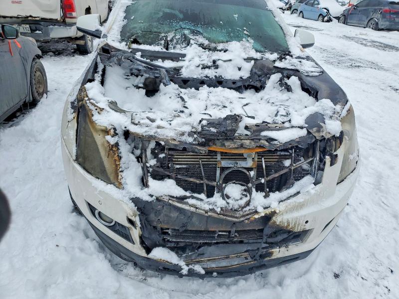 Продаж на аукціоні авто 2010 Cadillac Srx, vin: 3GYFNFE48AS577082, номер лоту: 46648956