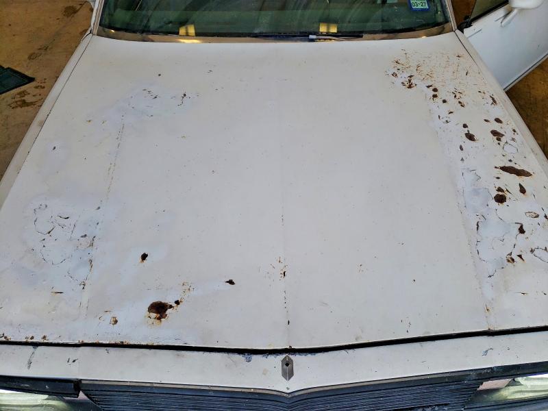 1981 Chev El Camino მანქანა იყიდება აუქციონზე, vin: 1GCCW80J9BR449288, აუქციონის ნომერი: 47980796