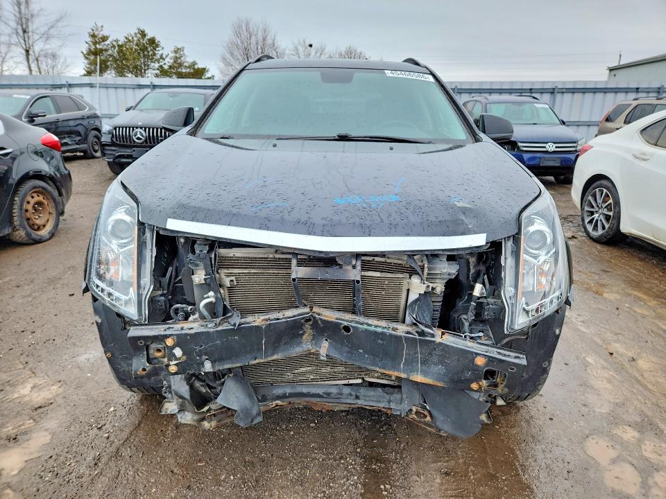 Продаж на аукціоні авто 2011 Cadillac Srx V6 4dr Awd, vin: 3GYFNHEY6BS517608, номер лоту: 45466586