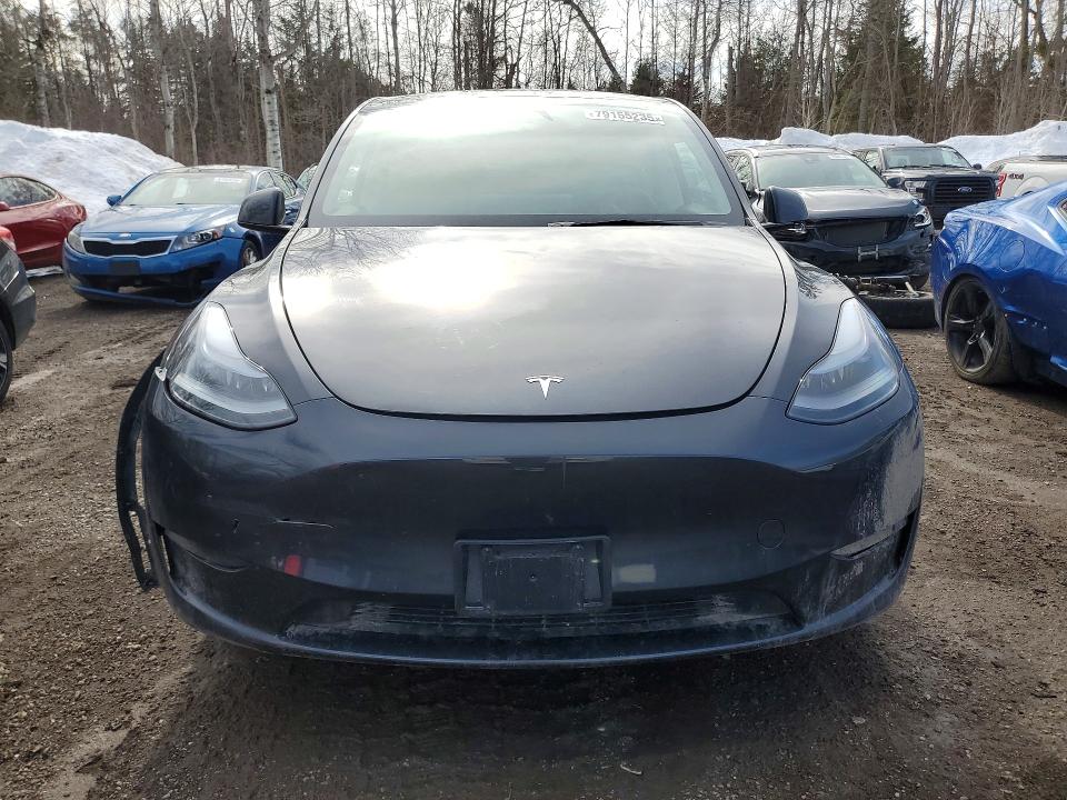 Продаж на аукціоні авто 2025 Tesla Model Y, vin: 7SAYGDEE7SF283787, номер лоту: 79155235