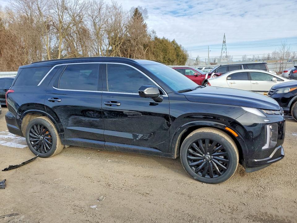 Aukcja sprzedaży 2025 Hyundai Palisade, vin: KM8R5DGE3SU873976, numer aukcji: 46218476