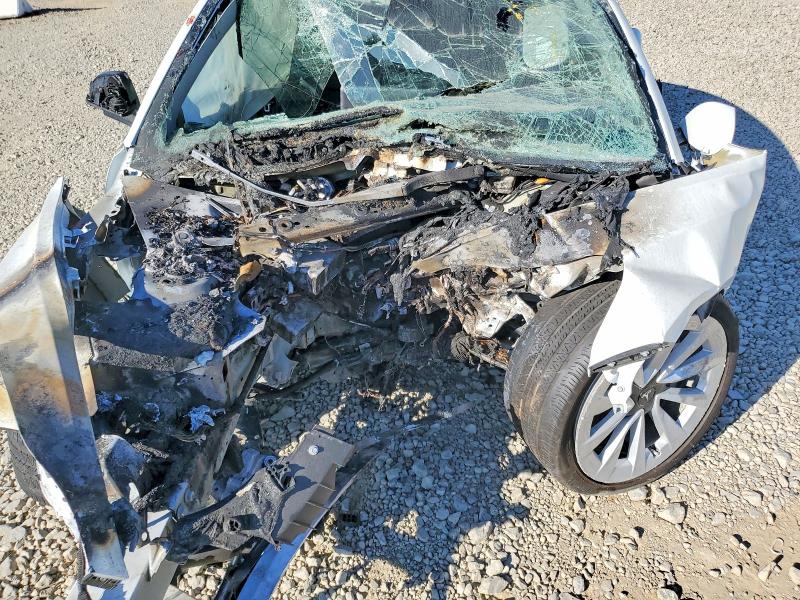 46557936 :رقم المزاد ، 5YJ3E1EA4PF422631 vin ، 2023 Tesla Model 3 مزاد بيع