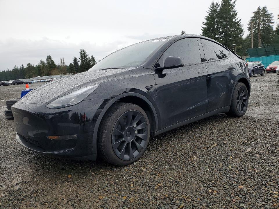 Продажа на аукционе авто 2024 Tesla Model Y, vin: 7SAYGDEE3RF075884, номер лота: 41976716