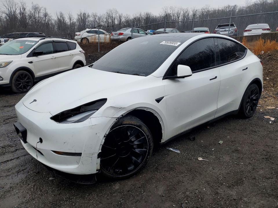 Продажа на аукционе авто 2023 Tesla Model Y, vin: 7SAYGAEE0PF749419, номер лота: 79509955