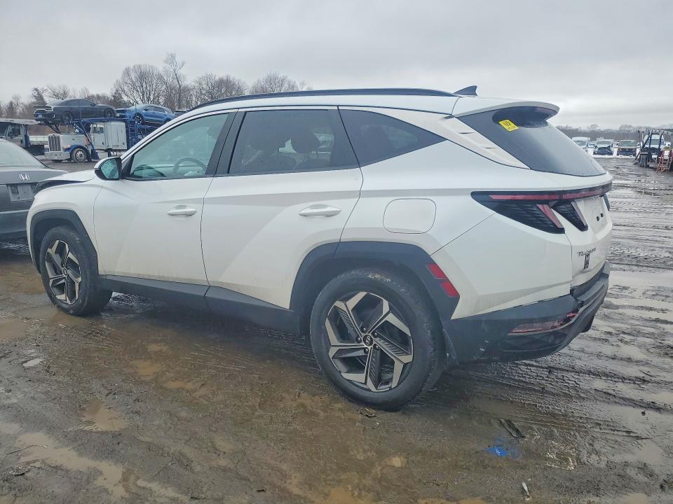 2022 Hyundai Tucson მანქანა იყიდება აუქციონზე, vin: 5NMJCCAE1NH125197, აუქციონის ნომერი: 41712496