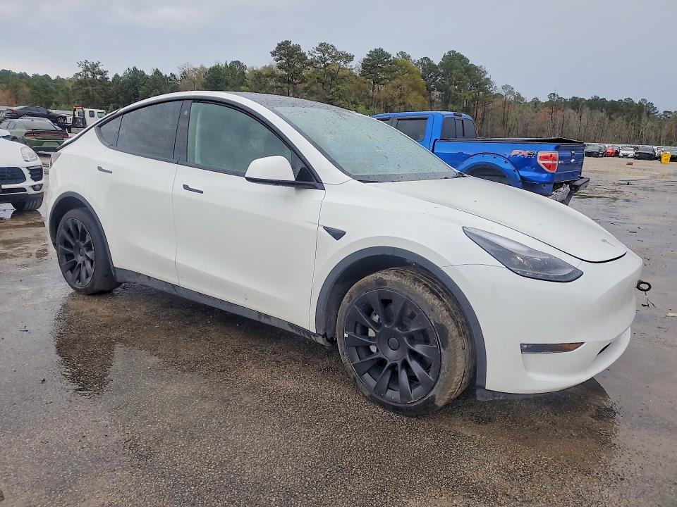 Продаж на аукціоні авто 2023 Tesla Model Y, vin: 7SAYGDEE3PF690156, номер лоту: 46211576