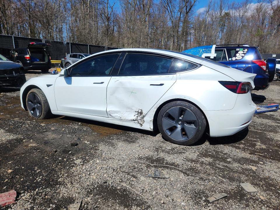 Продаж на аукціоні авто 2021 Tesla Model 3, vin: 5YJ3E1EB8MF060954, номер лоту: 46687266