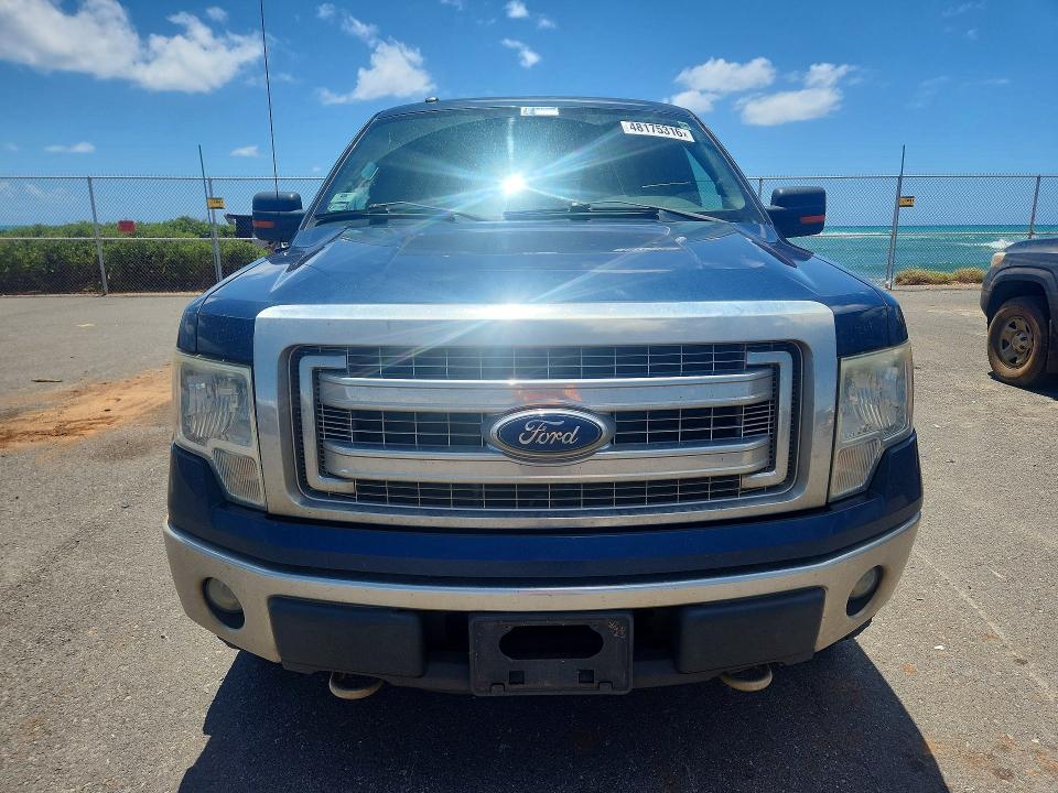 48175316 :رقم المزاد ، 1FTFW1EF7DKD24861 vin ، 2013 Ford F150 مزاد بيع