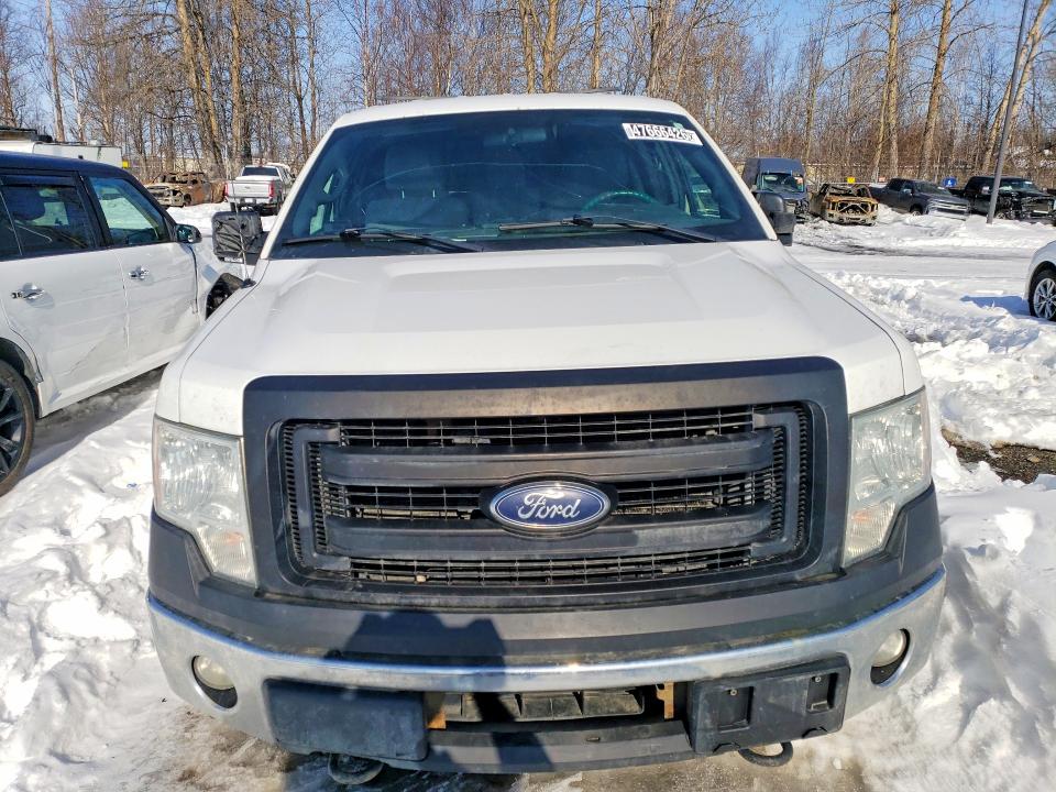 Продаж на аукціоні авто 2013 Ford F150, vin: 1FTFX1ET5DFB83736, номер лоту: 47666426