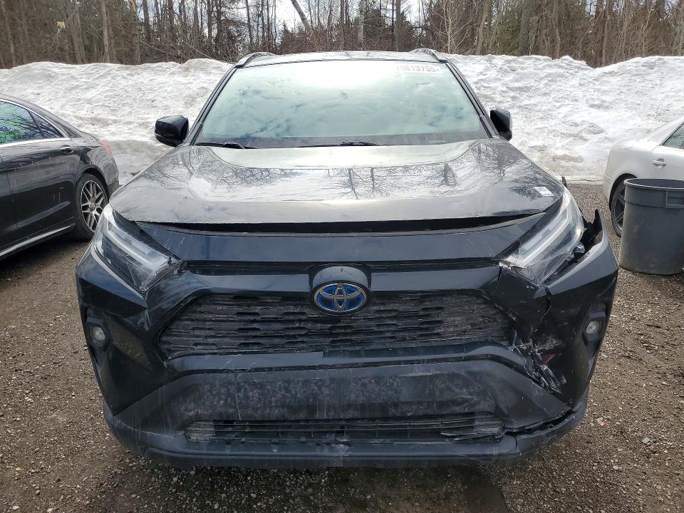 79813755 :رقم المزاد ، 2T3RWRFV1PW155045 vin ، 2023 Toyota Rav4 Hybrid مزاد بيع