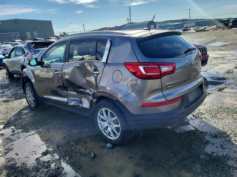 Продаж на аукціоні авто 2013 Kia Sportage, vin: KNDPCCA66D7388438, номер лоту: 77674765