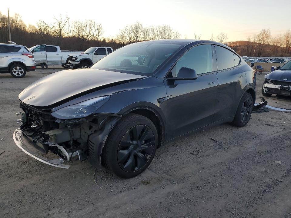 Продажа на аукционе авто 2024 Tesla Model Y, vin: 7SAYGDEE4RF149832, номер лота: 46193696