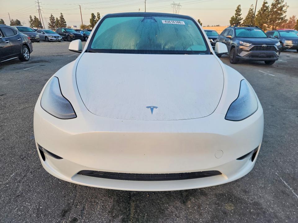 45616186 :رقم المزاد ، 7SAYGDED8RF154488 vin ، 2024 Tesla Model Y مزاد بيع