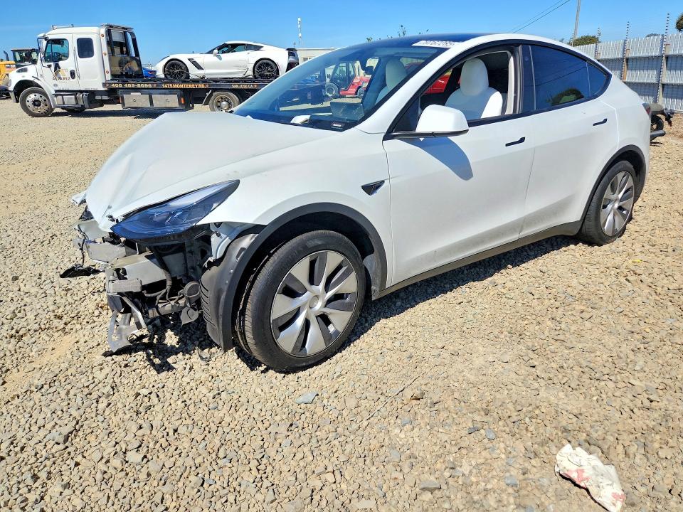 Продаж на аукціоні авто 2023 Tesla Model Y, vin: 7SAYGDEE7PF634530, номер лоту: 79767285