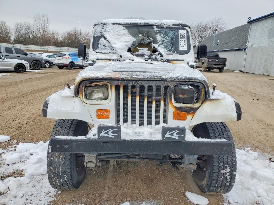 Продажа на аукционе авто 1995 Jeep Wrangler / Yj, vin: 1J4FY29S2SP207884, номер лота: 46021586