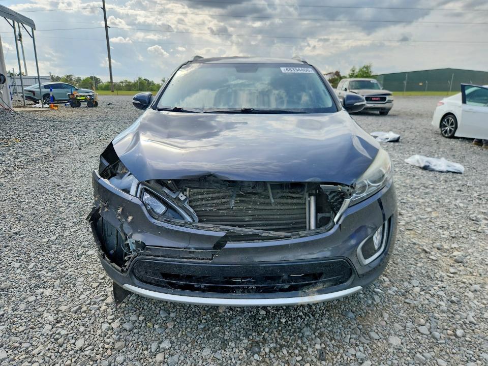 Aukcja sprzedaży 2017 Kia Sorento, vin: 5XYPH4A50HG300202, numer aukcji: 48394466