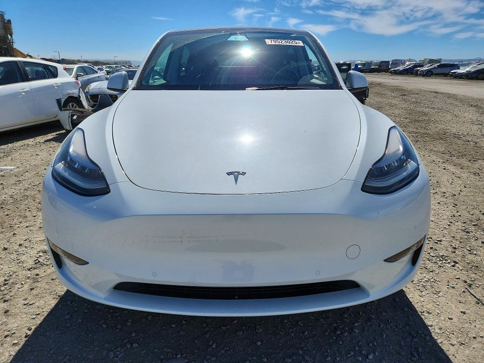 79523025 :رقم المزاد ، 5YJYGDEE7MF200097 vin ، 2021 Tesla Model Y مزاد بيع
