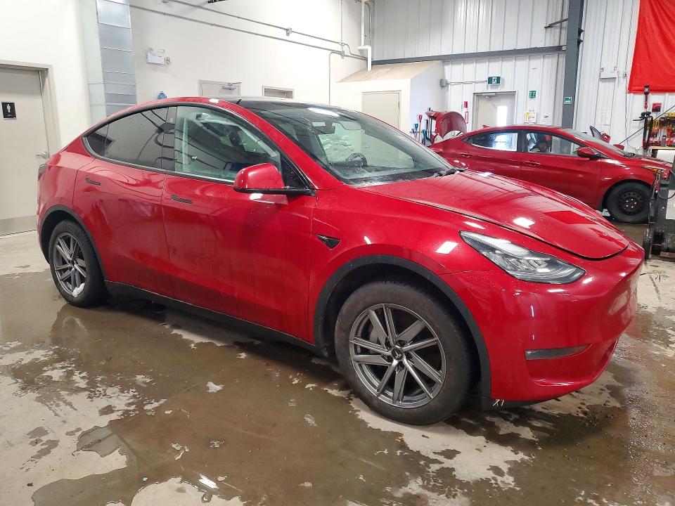 46459246 :رقم المزاد ، 5YJYGDEE9MF297500 vin ، 2021 Tesla Model Y مزاد بيع