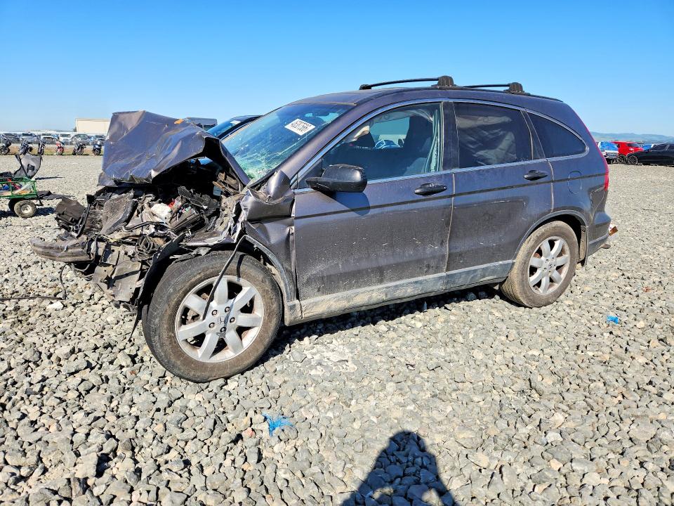 Продаж на аукціоні авто 2009 Honda Cr-v, vin: 5J6RE38559L007414, номер лоту: 46387586