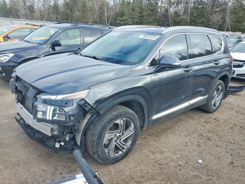 Продаж на аукціоні авто 2023 Hyundai Santa Fe, vin: 5NMS3DAJ0PH623014, номер лоту: 79052325