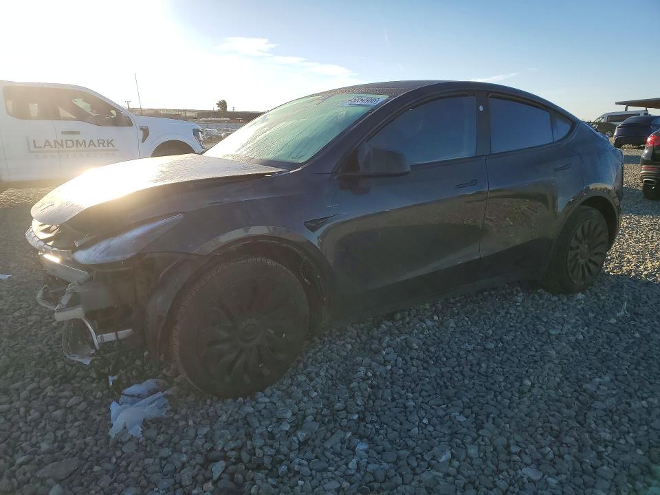 Продаж на аукціоні авто 2024 Tesla Model Y, vin: 7SAYGDEE7RF013565, номер лоту: 45854986