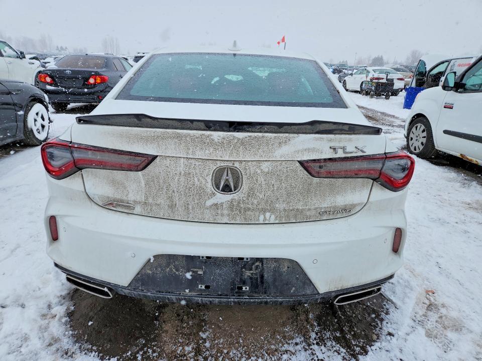 45948446 :رقم المزاد ، 19UUB6F55PA800073 vin ، 2023 Acura Tlx مزاد بيع