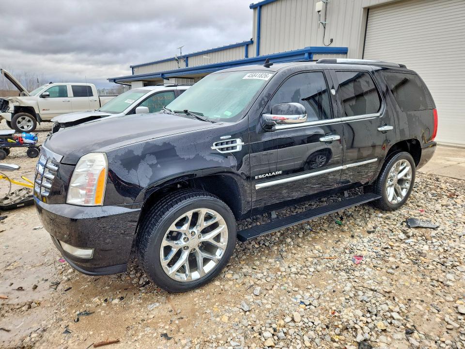Продажа на аукционе авто 2010 Cadillac Escalade, vin: 1GYUKCEF6AR114912, номер лота: 45841826