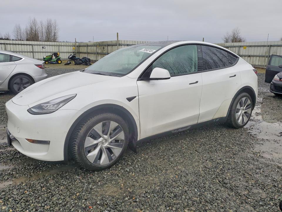 2021 Tesla Model Y მანქანა იყიდება აუქციონზე, vin: 5YJYGAEE5MF196386, აუქციონის ნომერი: 79590745